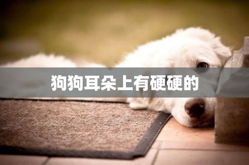 狗狗耳朵上有硬硬的