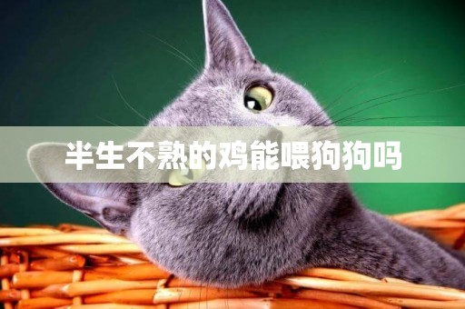 半生不熟的雞能喂狗狗嗎
