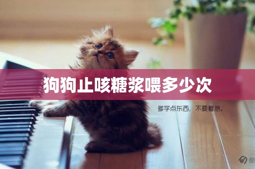 狗狗止咳糖漿喂多少次