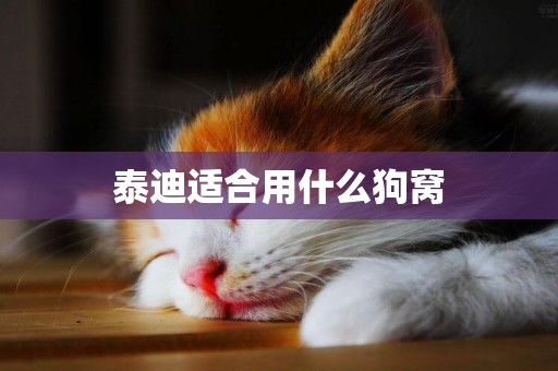 泰迪適合用什么狗窩