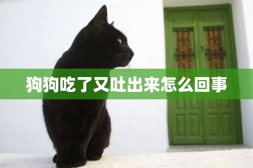 狗狗吃了又吐出來怎么回事