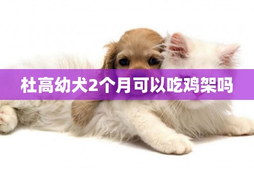 杜高幼犬2個月可以吃雞架嗎