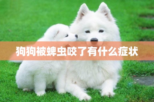 狗狗被蜱蟲咬了有什么癥狀