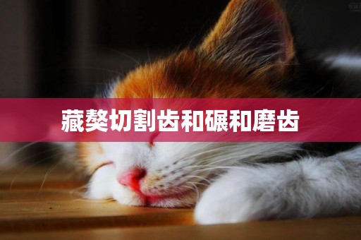 藏獒切割齒和碾和磨齒