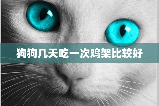 狗狗幾天吃一次雞架比較好