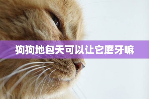 狗狗地包天可以讓它磨牙嘛