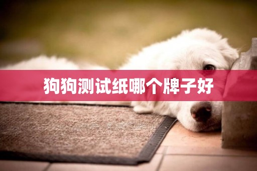 狗狗測試紙哪個牌子好