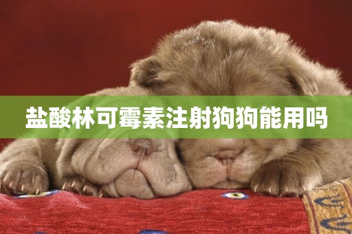 鹽酸林可霉素注射狗狗能用嗎