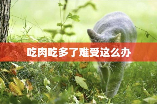 吃肉吃多了難受這么辦