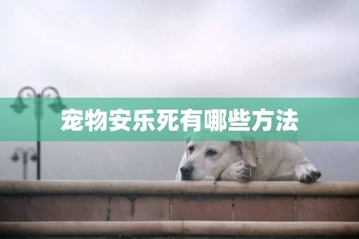 寵物安樂死有哪些方法