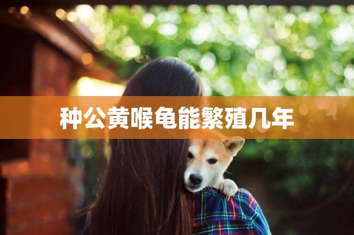 種公黃喉龜能繁殖幾年