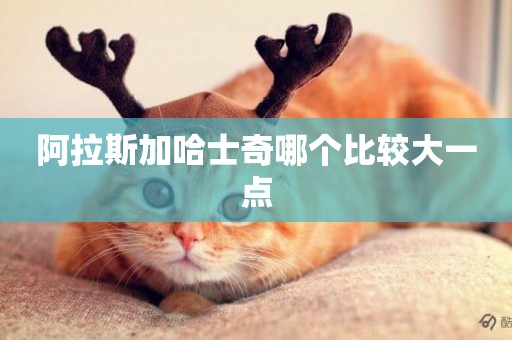 阿拉斯加哈士奇哪個比較大一點