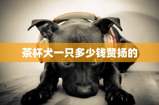 茶杯犬一只多少錢贊揚的