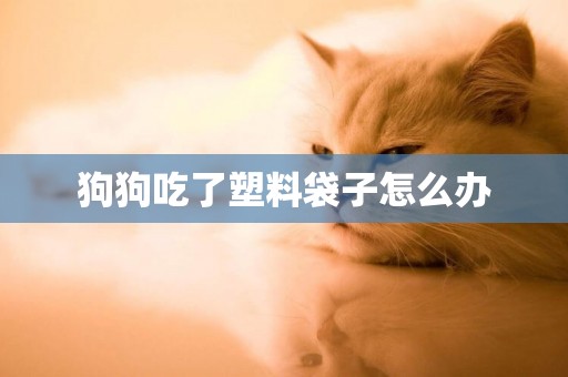 狗狗吃了塑料袋子怎么辦
