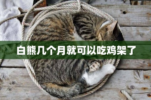 白熊幾個月就可以吃雞架了