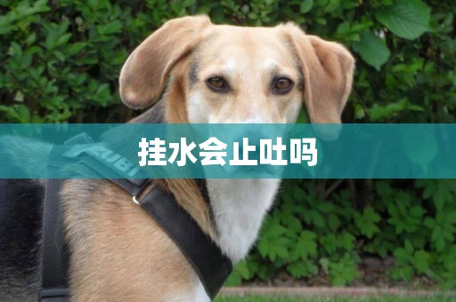 掛水會止吐嗎