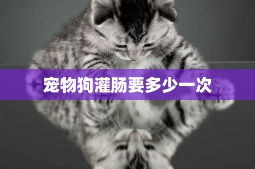 寵物狗灌腸要多少一次