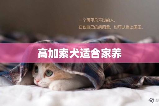 高加索犬適合家養