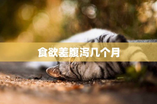 食欲差腹瀉幾個月