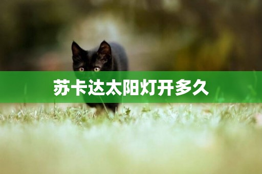 蘇卡達太陽燈開多久