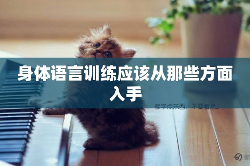 身體語言訓練應該從那些方面入手