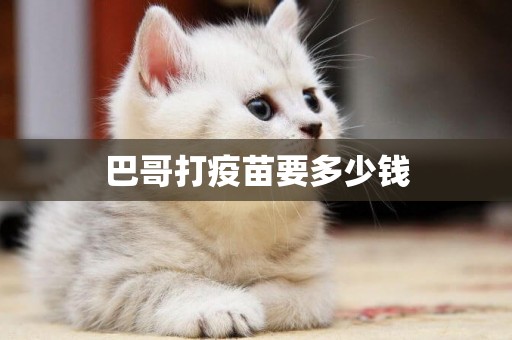 巴哥打疫苗要多少錢