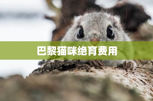 巴黎貓咪絕育費用