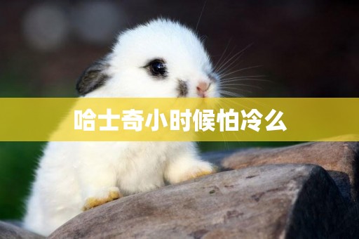 哈士奇小時候怕冷么