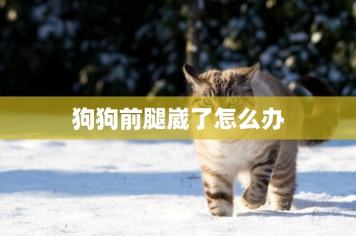 狗狗前腿崴了怎么辦