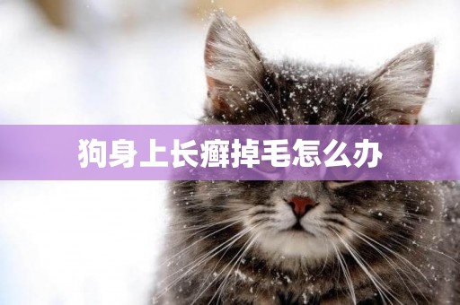 狗身上長癬掉毛怎么辦