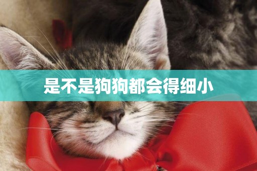 是不是狗狗都會得細小