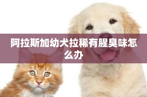 阿拉斯加幼犬拉稀有腥臭味怎么辦