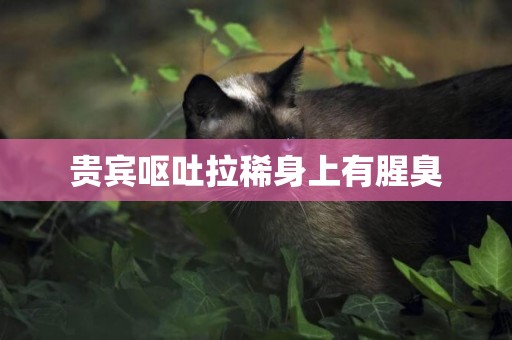 貴賓嘔吐拉稀身上有腥臭