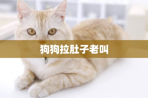 狗狗拉肚子老叫