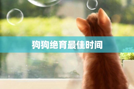 狗狗絕育最佳時間