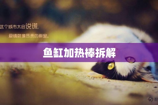 魚缸加熱棒拆解