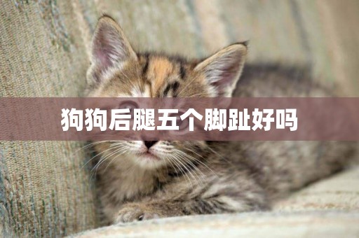 狗狗后腿五個腳趾好嗎