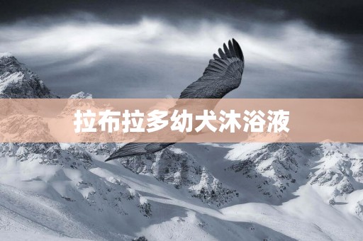 拉布拉多幼犬沐浴液