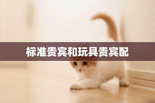 標準貴賓和玩具貴賓配