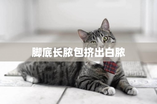 腳底長膿包擠出白膿