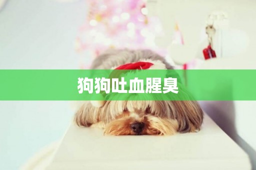 狗狗吐血腥臭