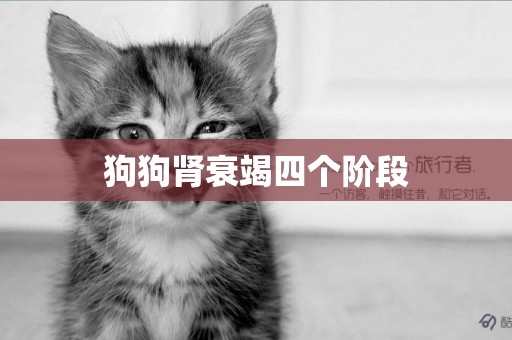 狗狗腎衰竭四個階段