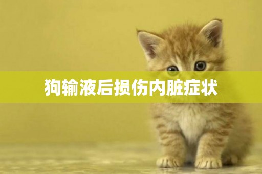 狗輸液后損傷內臟癥狀