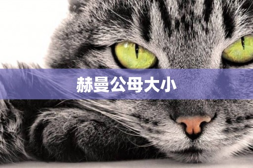 赫曼公母大小