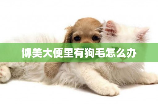 博美大便里有狗毛怎么辦
