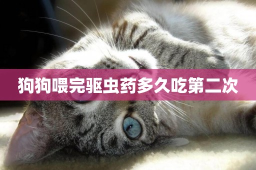 狗狗喂完驅蟲藥多久吃第二次