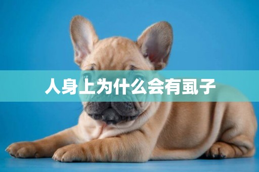 人身上為什么會有虱子