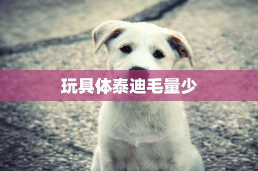 玩具體泰迪毛量少