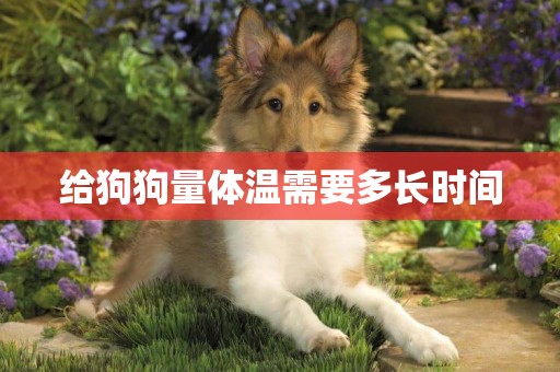 給狗狗量體溫需要多長時間