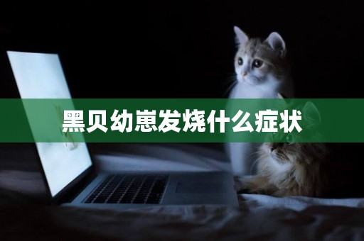 黑貝幼崽發燒什么癥狀